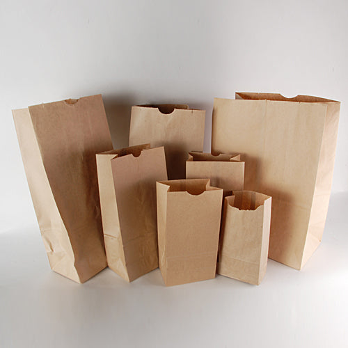12LB PAPER BAG BROWN LION KRAFT
