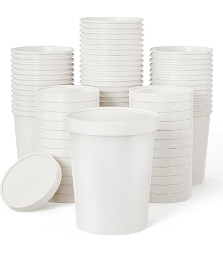24OZ PAPER CONTAINER HOT/COLD TOVA (20PK X 25PCS)-500CT