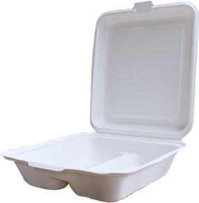 2-Compartment Paper Lunch Boxes 7"X 8" - 200 Count (4 Packs X 50 Pcs) | Lunch Boxes and Containers (SUBSTITUTE) (Copy)