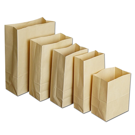 10LB PAPER BAG BROWN LION KRAFT