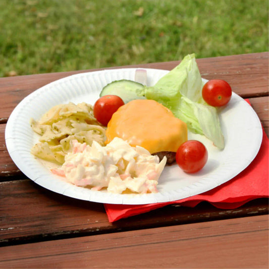 9" PAPER PLATE  COATED WHITE (20PK X 25PCS)-500CT